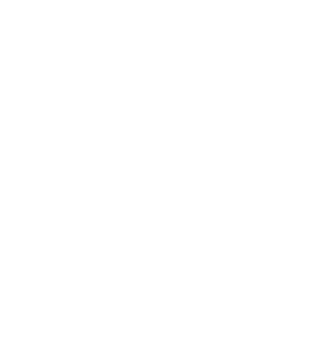 AIM-Logo-w